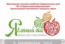 В Ставропольском крае впервые пройдёт фестиваль яблок
